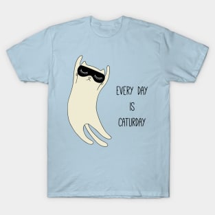 Every day is caturday T-Shirt